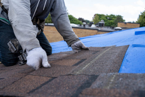Best Hot Roofs  in Farmers Loop, AK